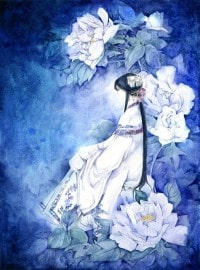 海贼之从庞克哈萨德开始